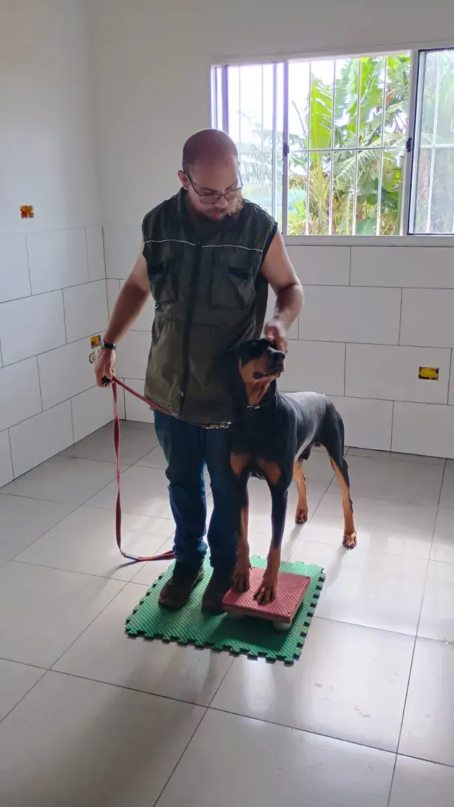 Profissional com cão em ambiente interno